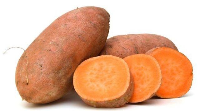 Sweet Potato-Garnet (NC)